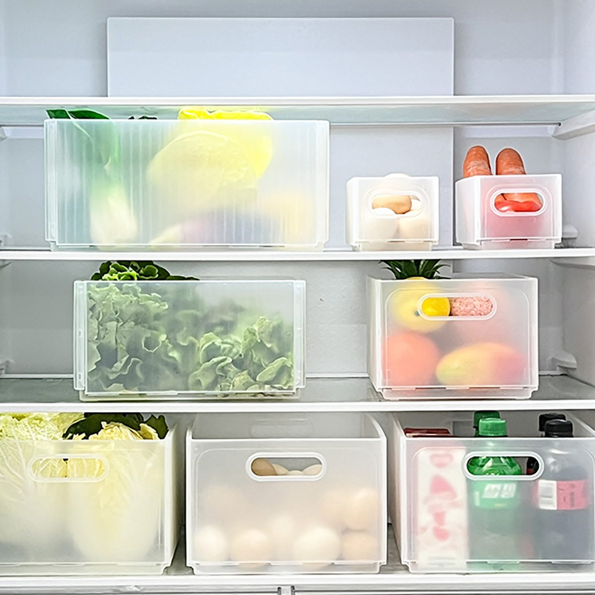 WORTHBUY Klappbare Kühlschrank – Food Storage Without Plastic Bewertung und Preis