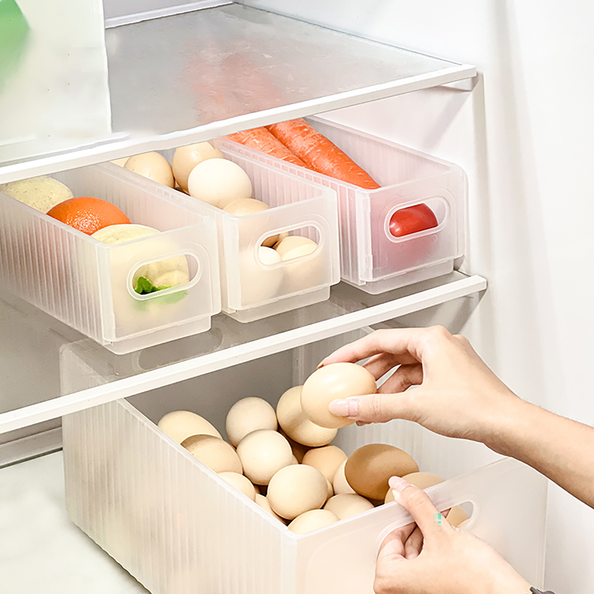 WORTHBUY Klappbare Kühlschrank – Food Storage Without Plastic Bewertung und Preis