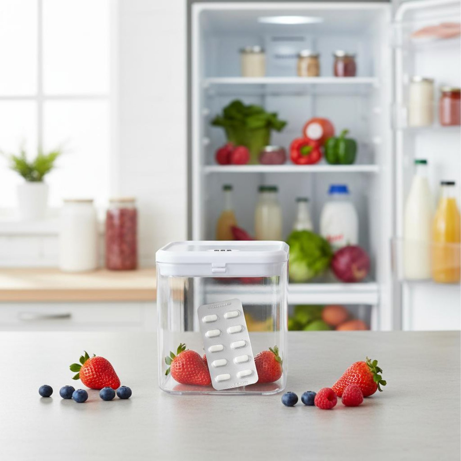 Transparente, abschließbare Bo – Food Storage Plastic Bewertung und Preis