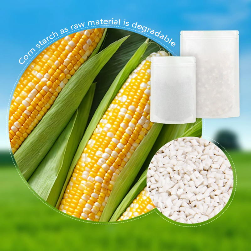 Maßgeschneiderte abbaubare Kra – Food Storage Plant Bewertung und Preis