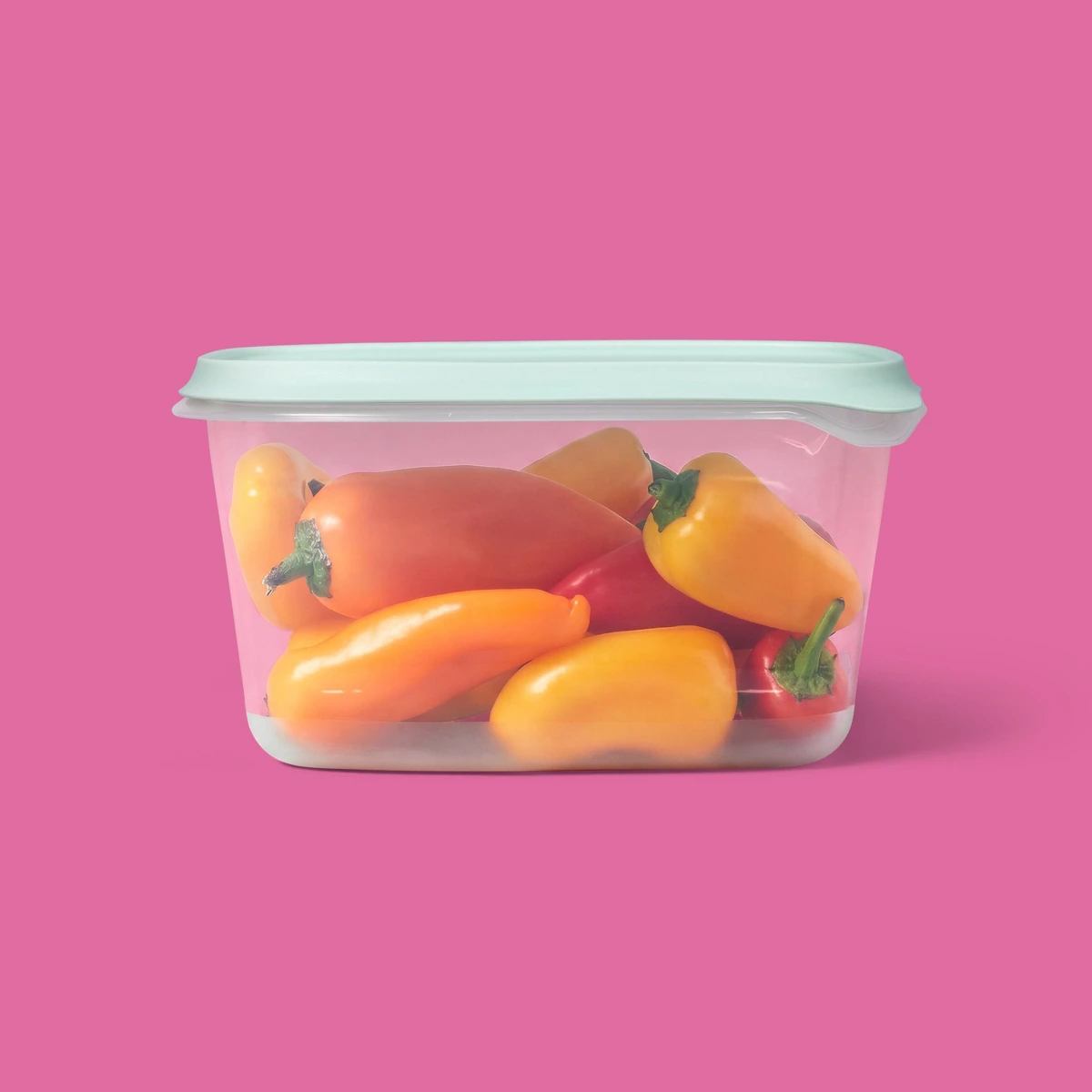 2026 Neu 2er-Pack 48oz Große R – Food Storage Large Plastic Containers Bewertung und Preis